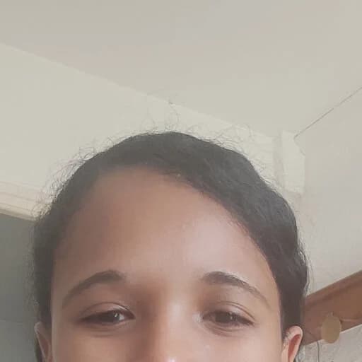Partner image